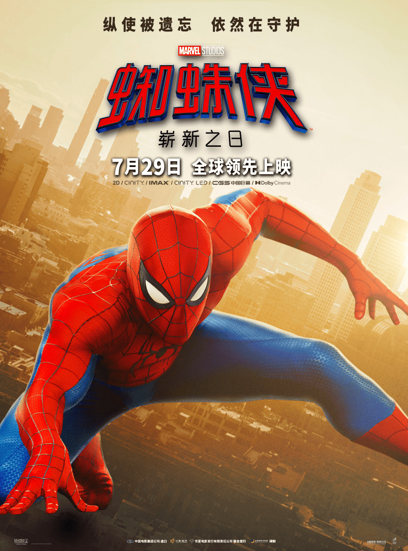 Extra Large Movie Poster Image for Spider-Man: Brand New Day (#19 of 22)