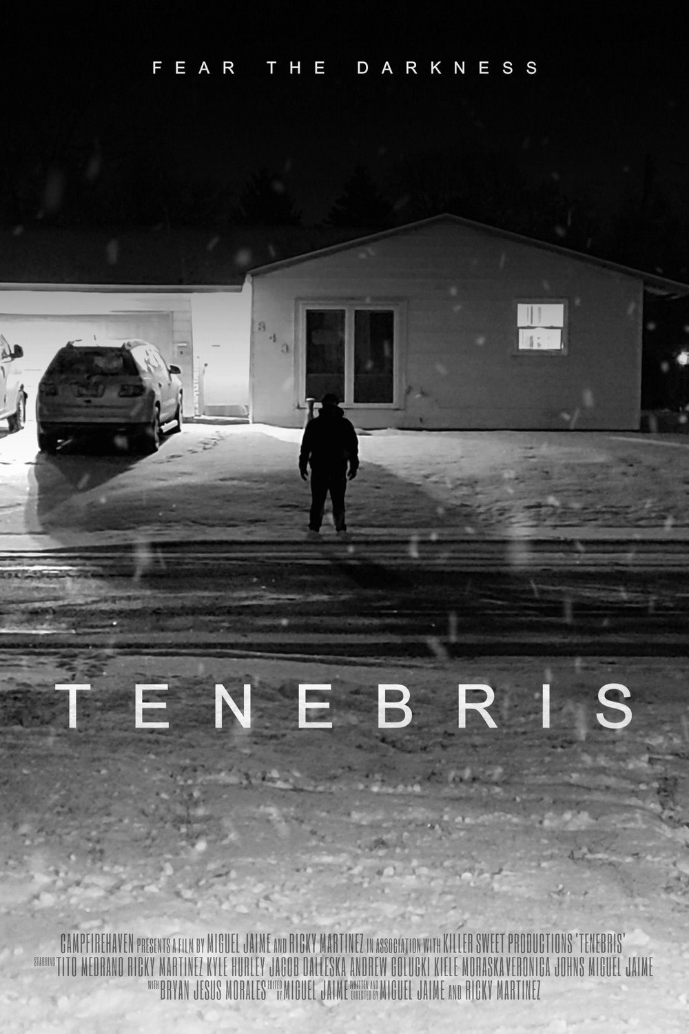 Extra Large Movie Poster Image for Tenebris 