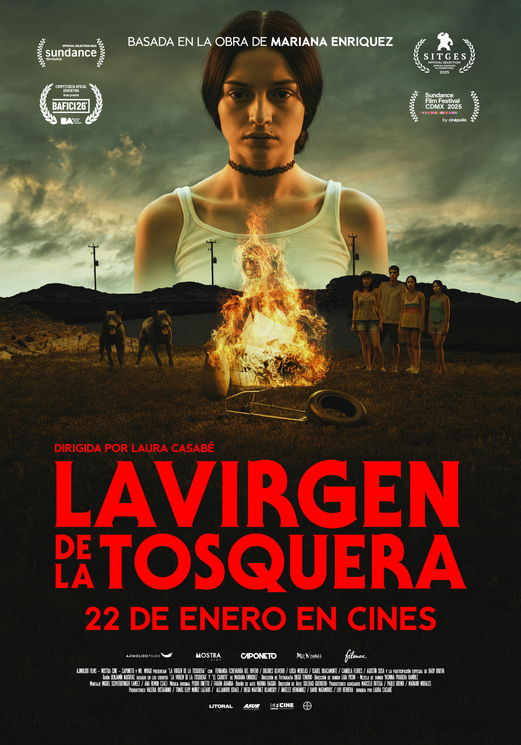 Extra Large Movie Poster Image for The Virgin of the Quarry Lake (#4 of 4)