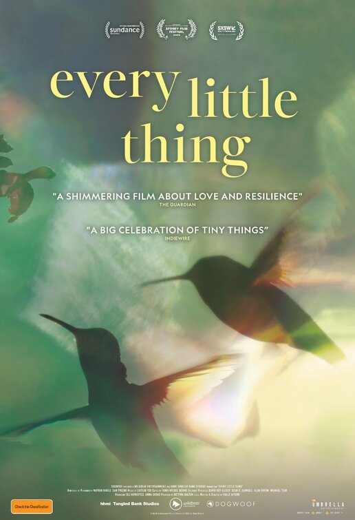 Every Little Thing Movie Poster