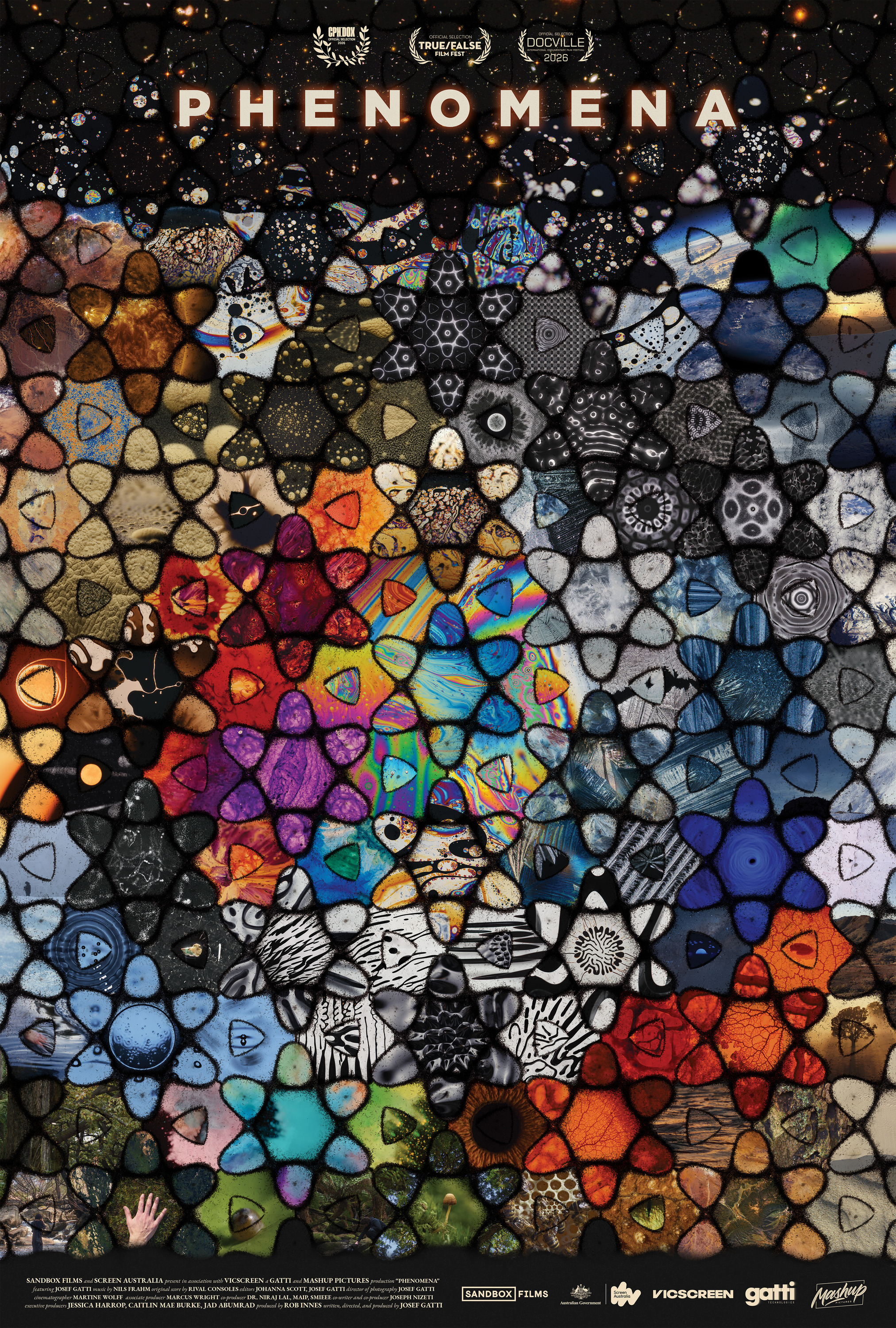 Mega Sized Movie Poster Image for Phenomena 