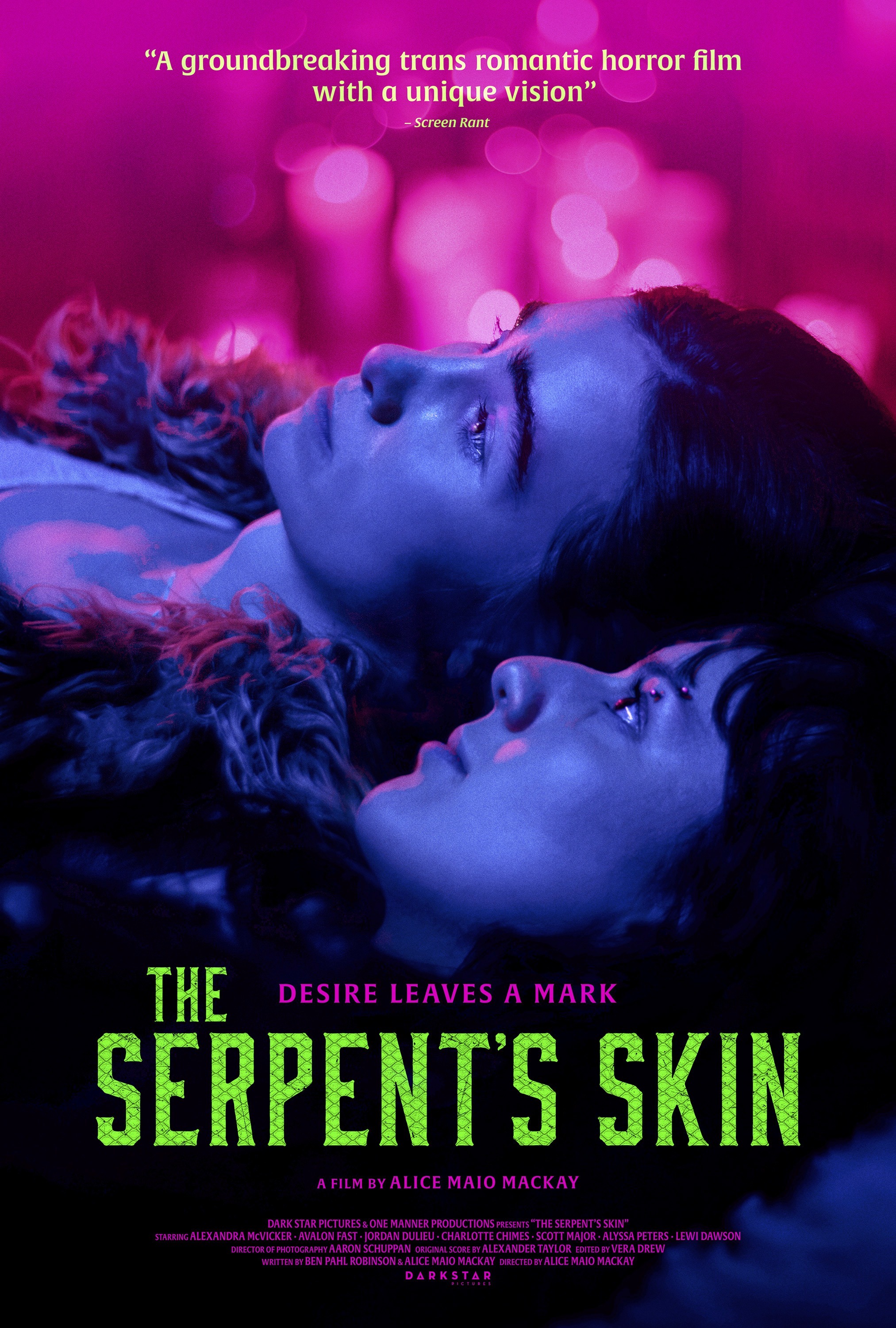Mega Sized Movie Poster Image for The Serpent's Skin (#2 of 2)