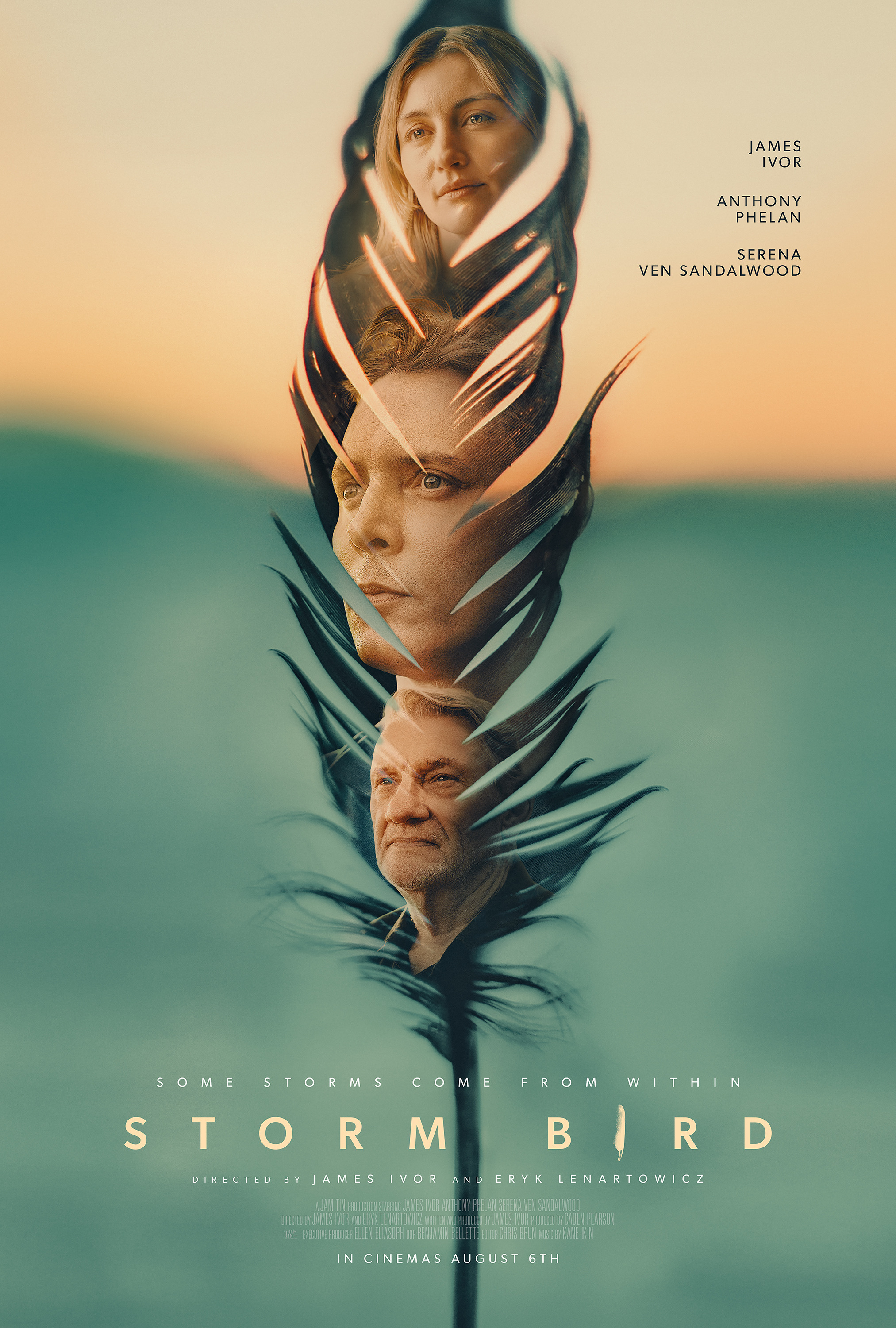 Mega Sized Movie Poster Image for Storm Bird (#1 of 2)