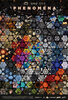 Phenomena (2026) Thumbnail