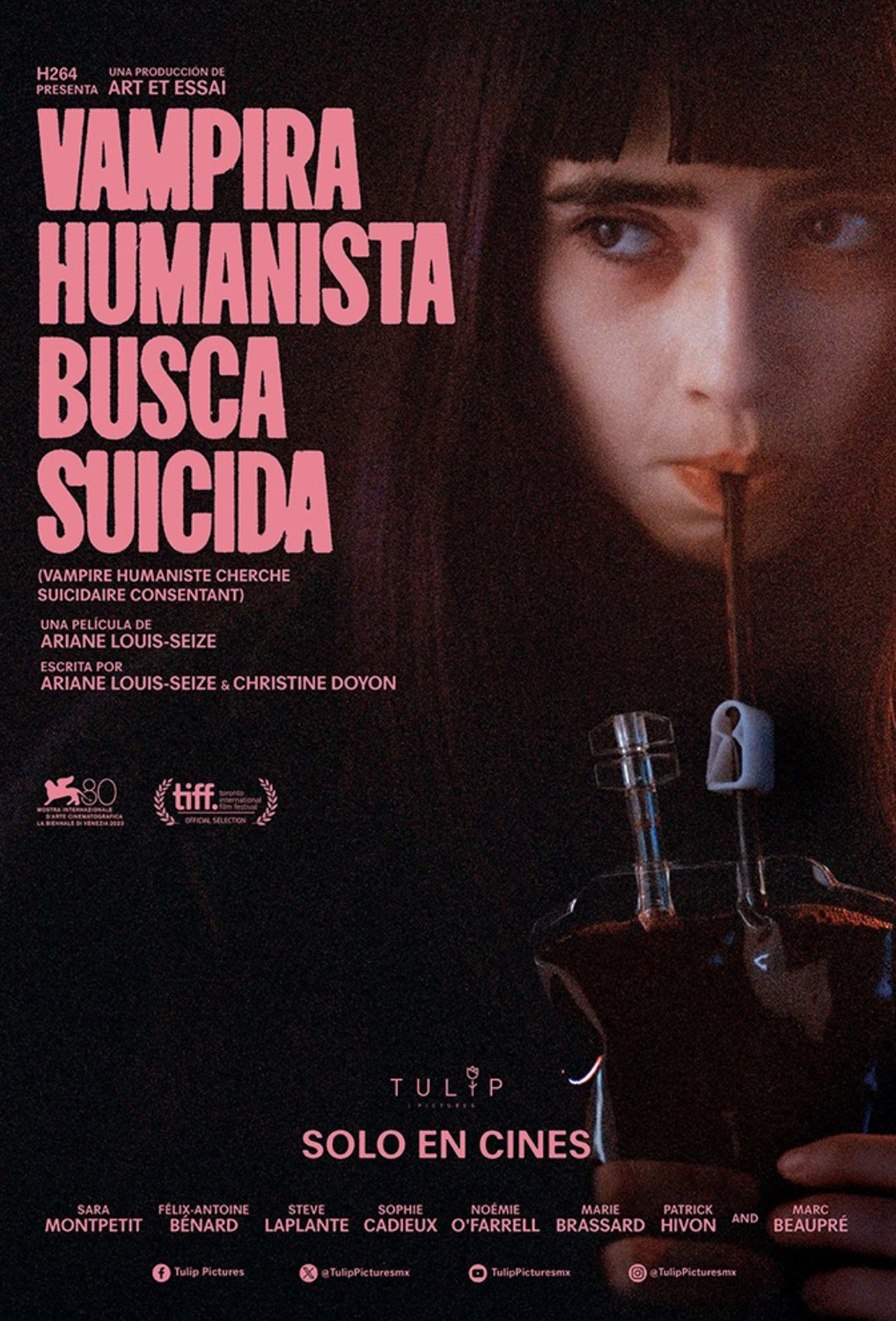 Extra Large Movie Poster Image for Vampire humaniste cherche suicidaire consentant (#3 of 3)