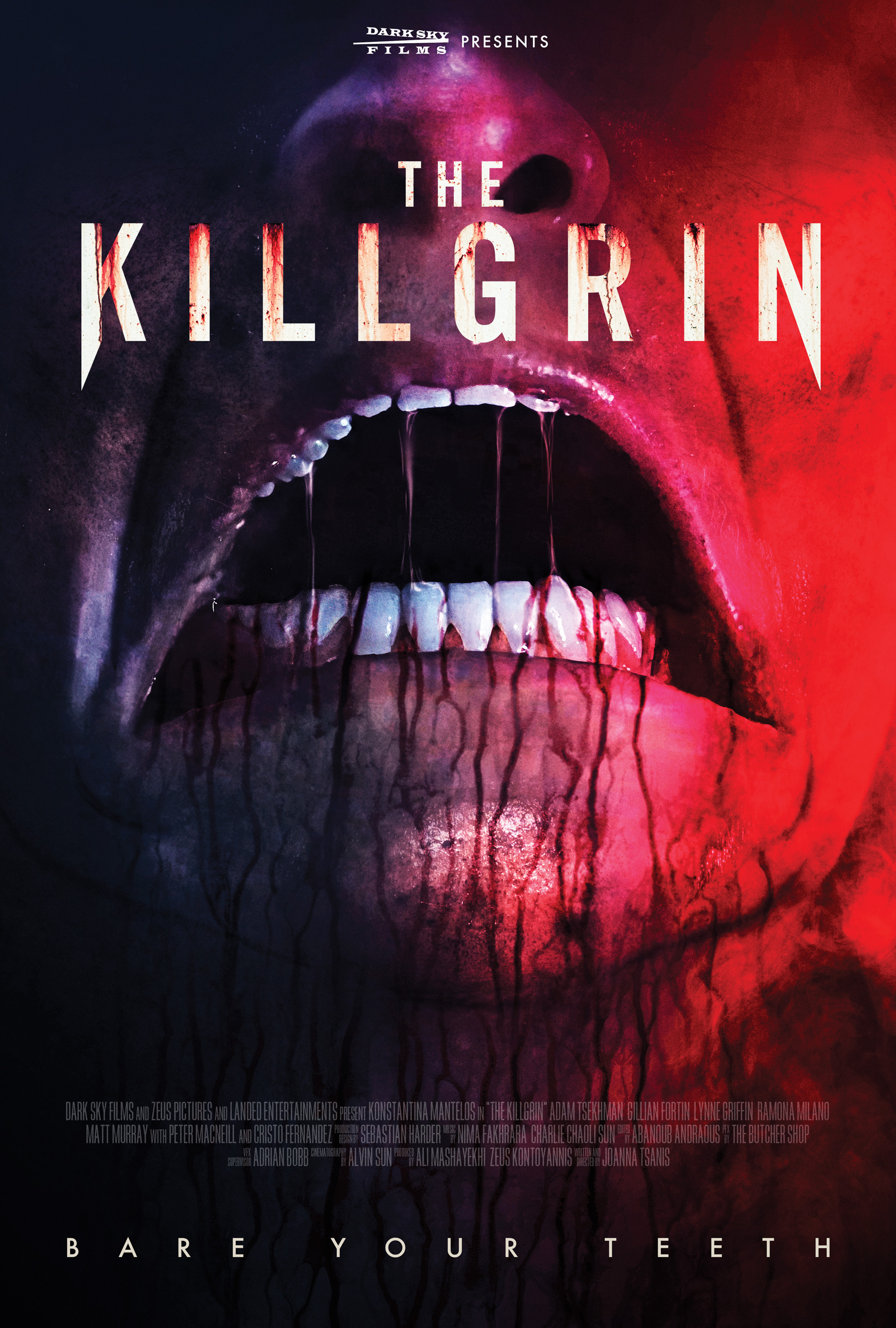 Mega Sized Movie Poster Image for The Killgrin 