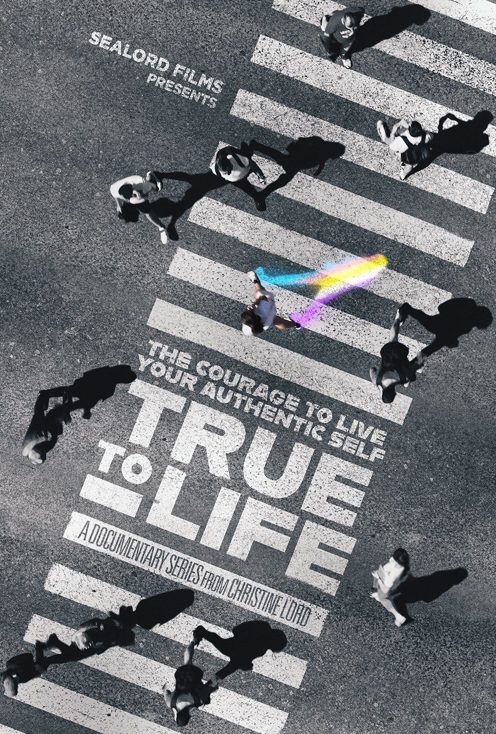 Extra Large TV Poster Image for True to Life Docuseries 