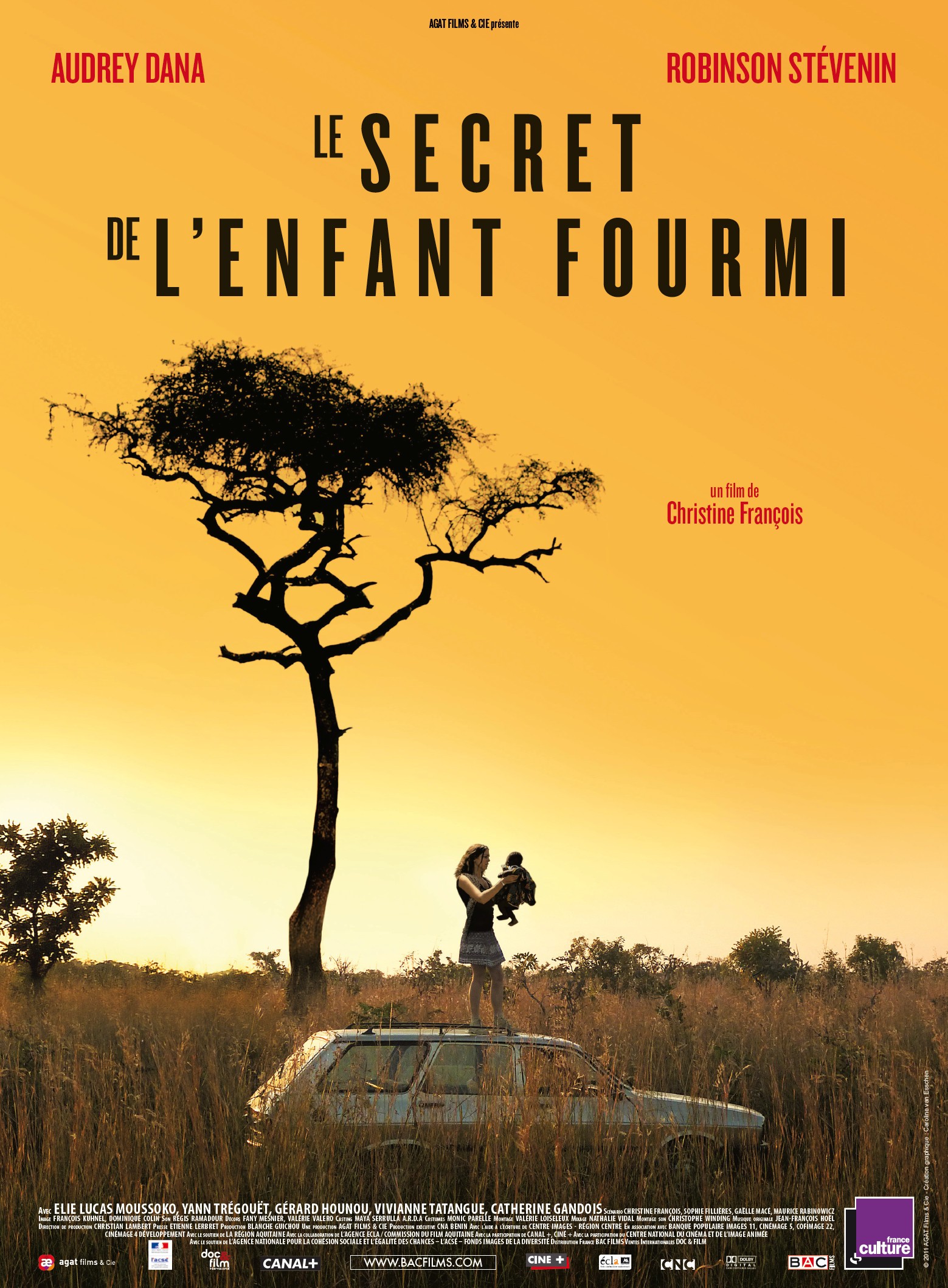 Mega Sized Movie Poster Image for Le secret de l'enfant-fourmi 