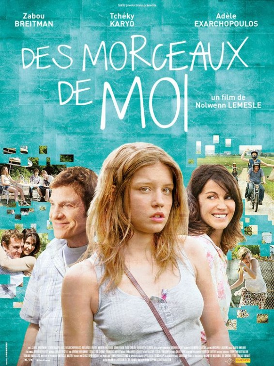 Des morceaux de moi Movie Poster