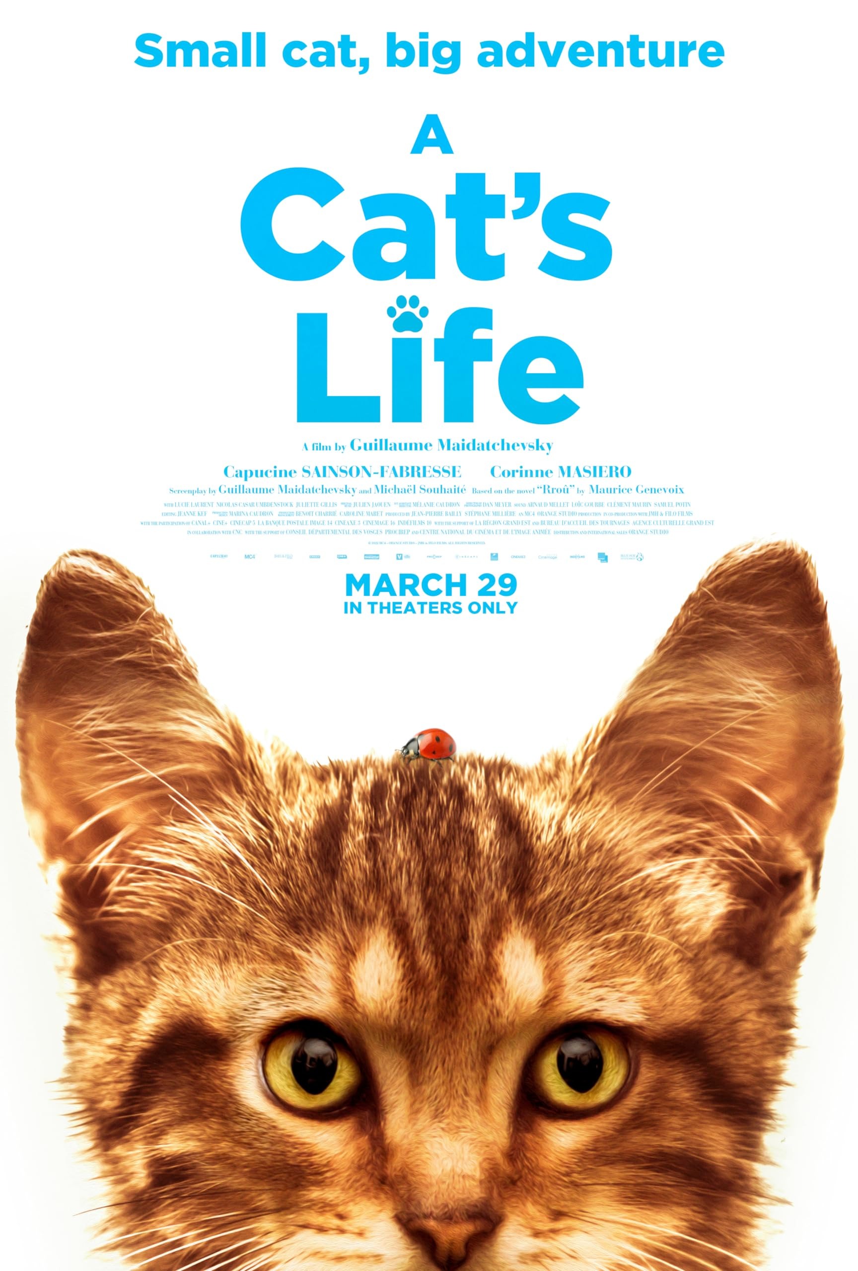 Mega Sized Movie Poster Image for Mon chat et moi, la grande aventure de Rroû (#3 of 3)