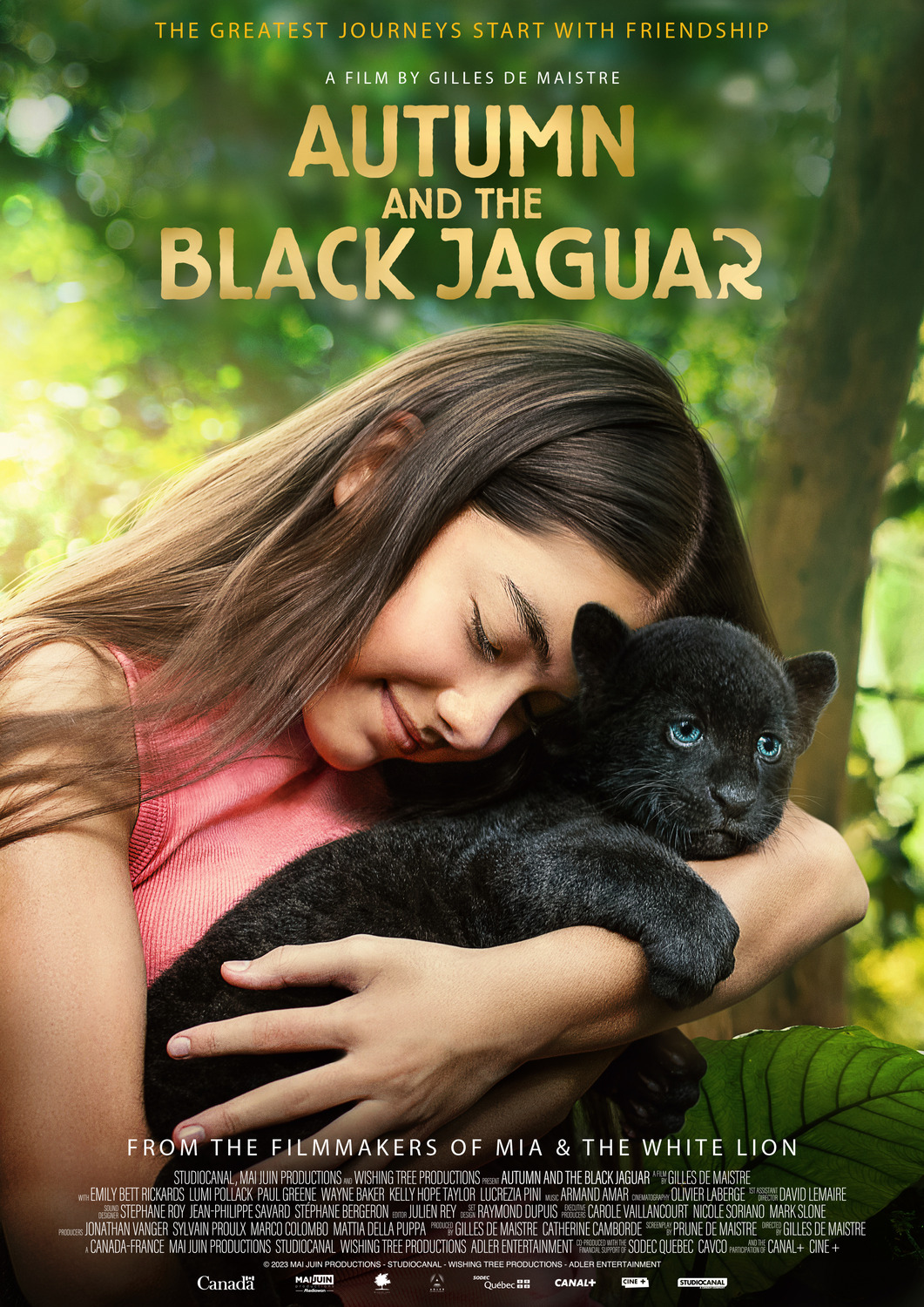 Extra Large Movie Poster Image for Le dernier jaguar (#4 of 5)