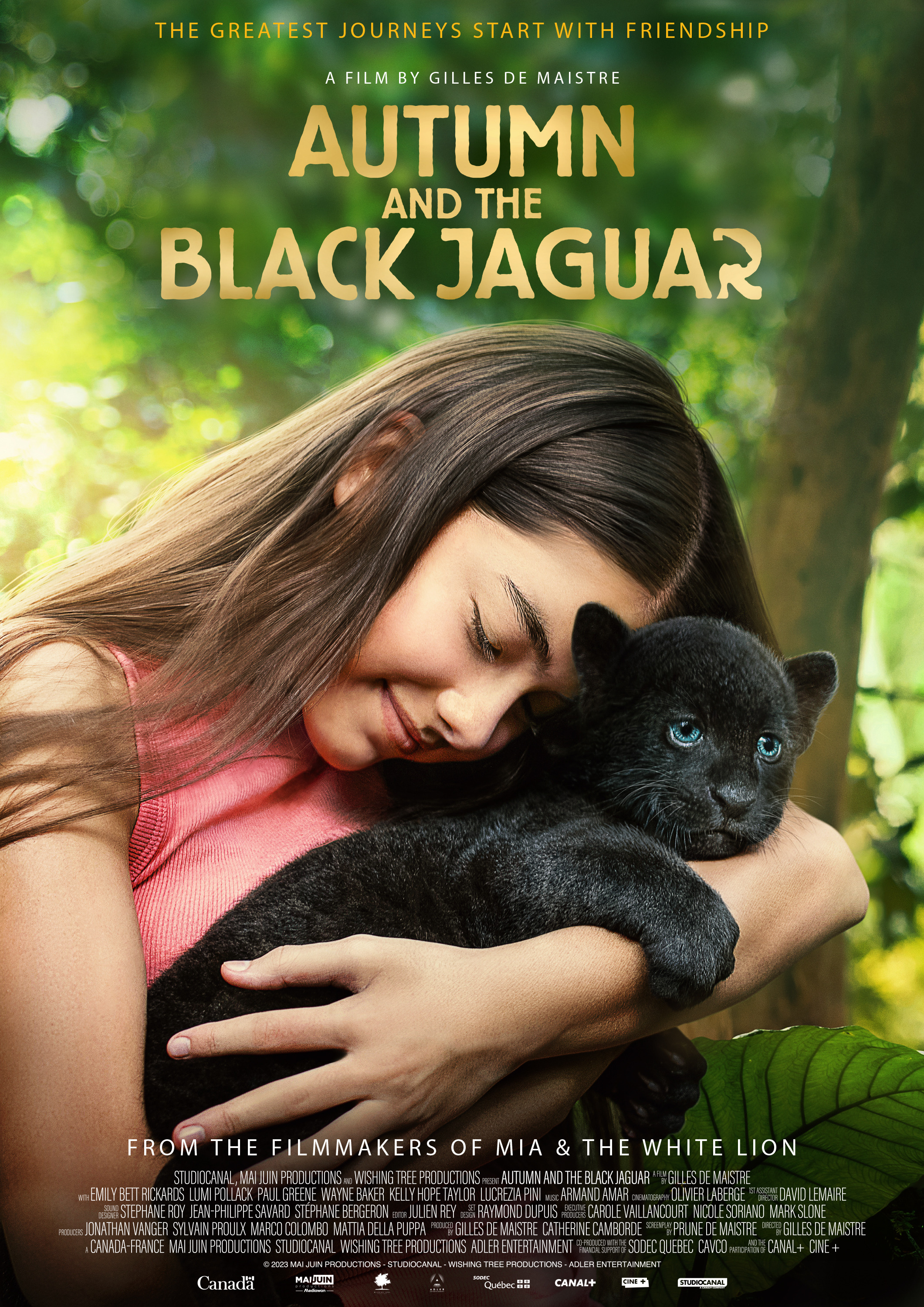 Mega Sized Movie Poster Image for Le dernier jaguar (#4 of 5)