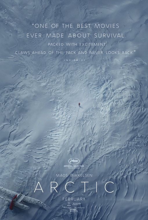 Arctic Movie Poster