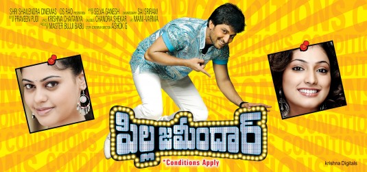 Pilla Zamindar Movie Poster