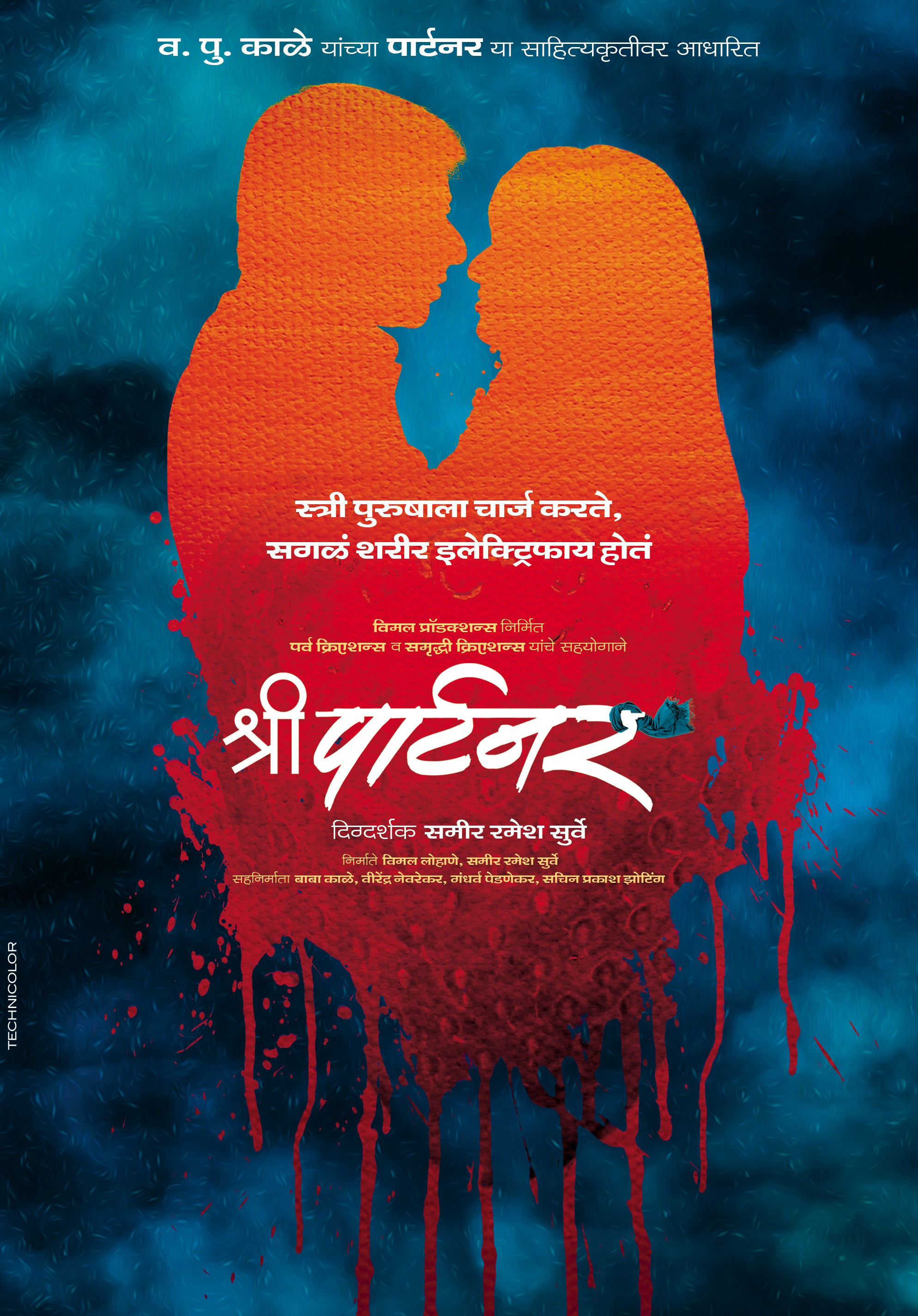 Mega Sized Movie Poster Image for Shree Partner (#1 of 11)