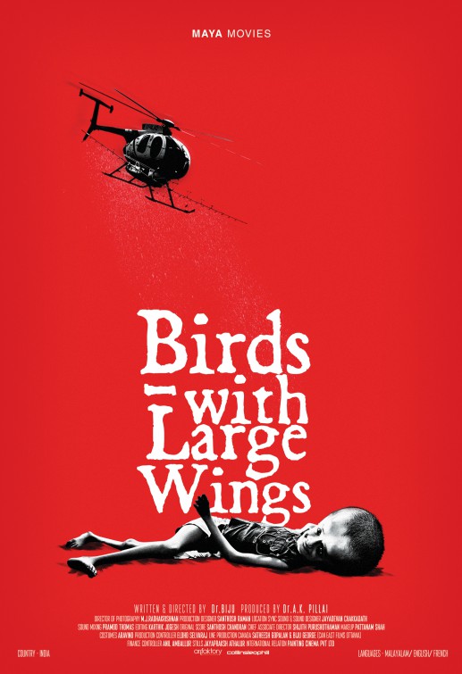 Birds with Large Wings Movie Poster