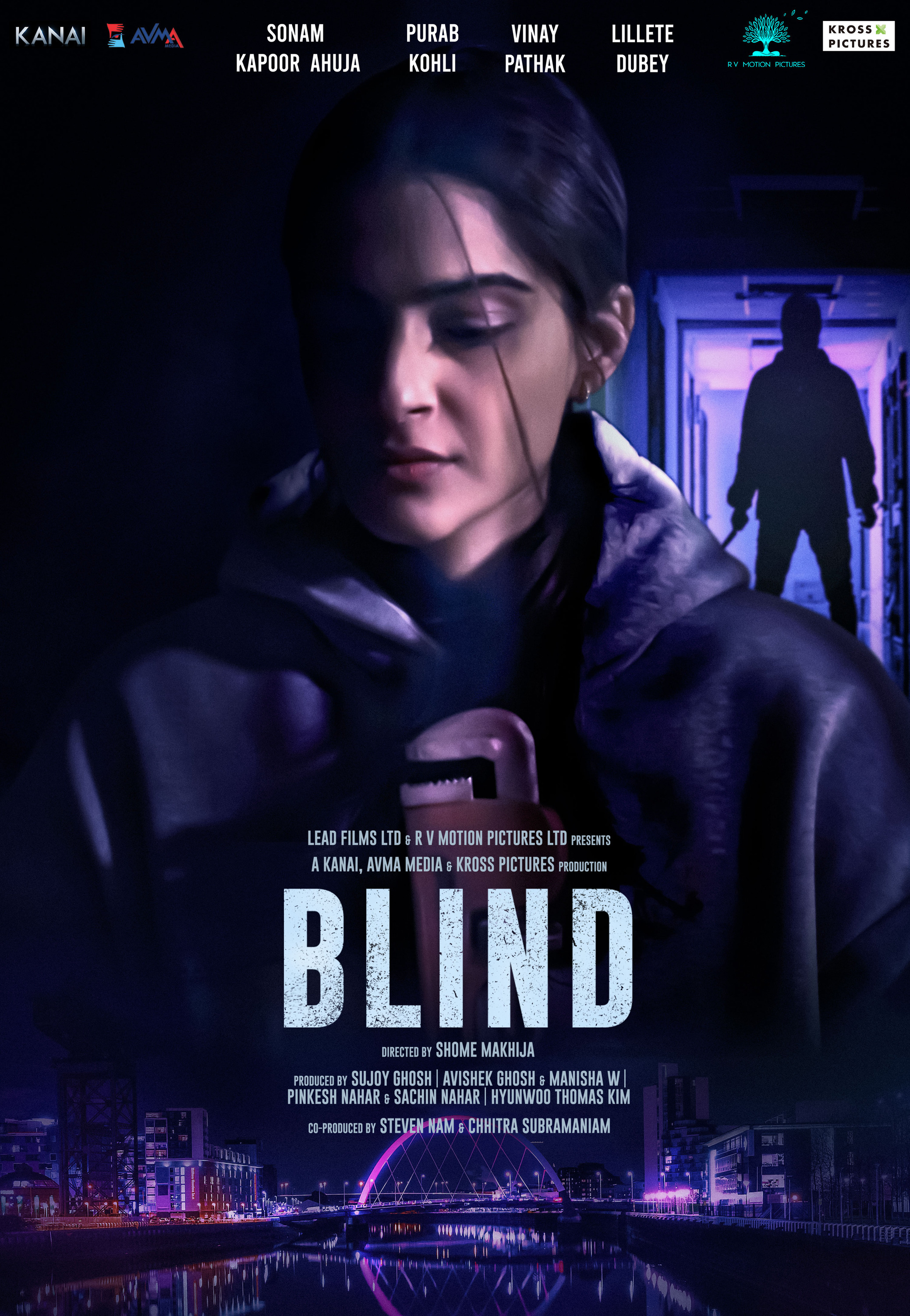 Mega Sized Movie Poster Image for Blind (#1 of 2)