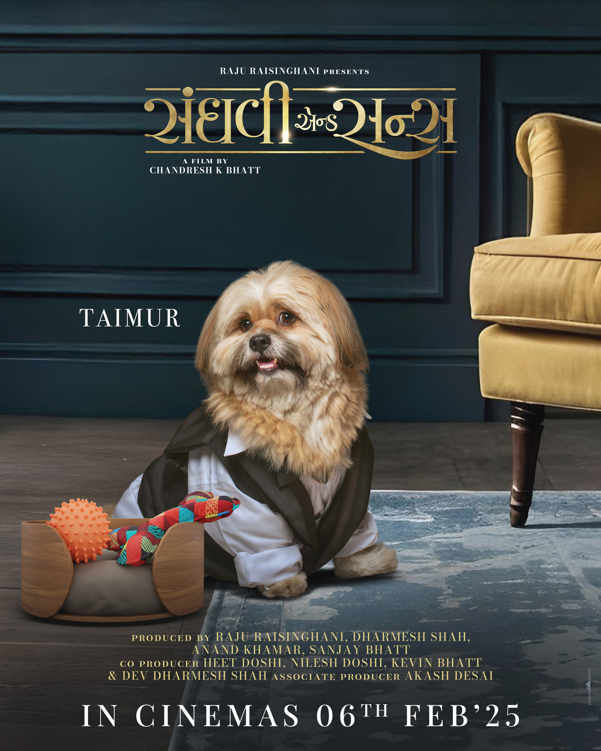 Extra Large Movie Poster Image for Sanghavi and Sons (#10 of 18)