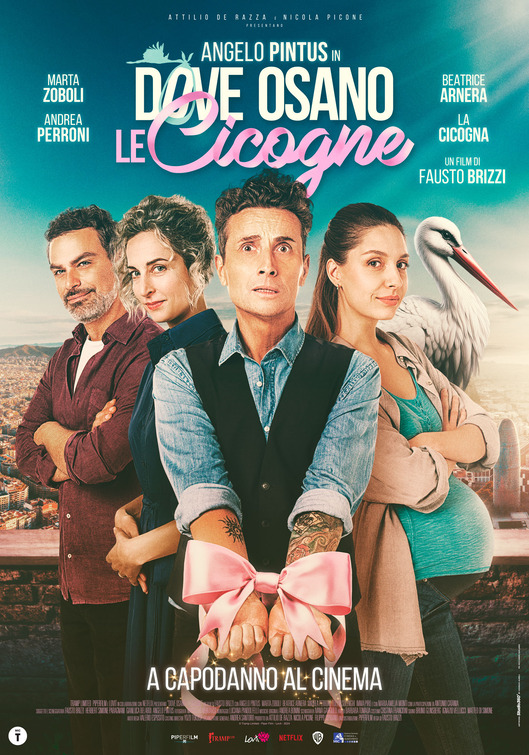 Dove osano le cicogne Movie Poster