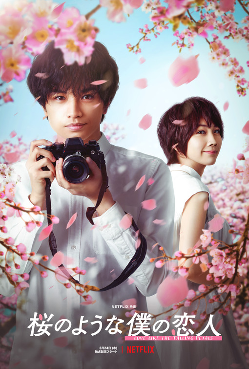 Love Like the Falling Petals Movie Poster