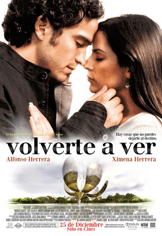 Volverte a ver Movie Poster