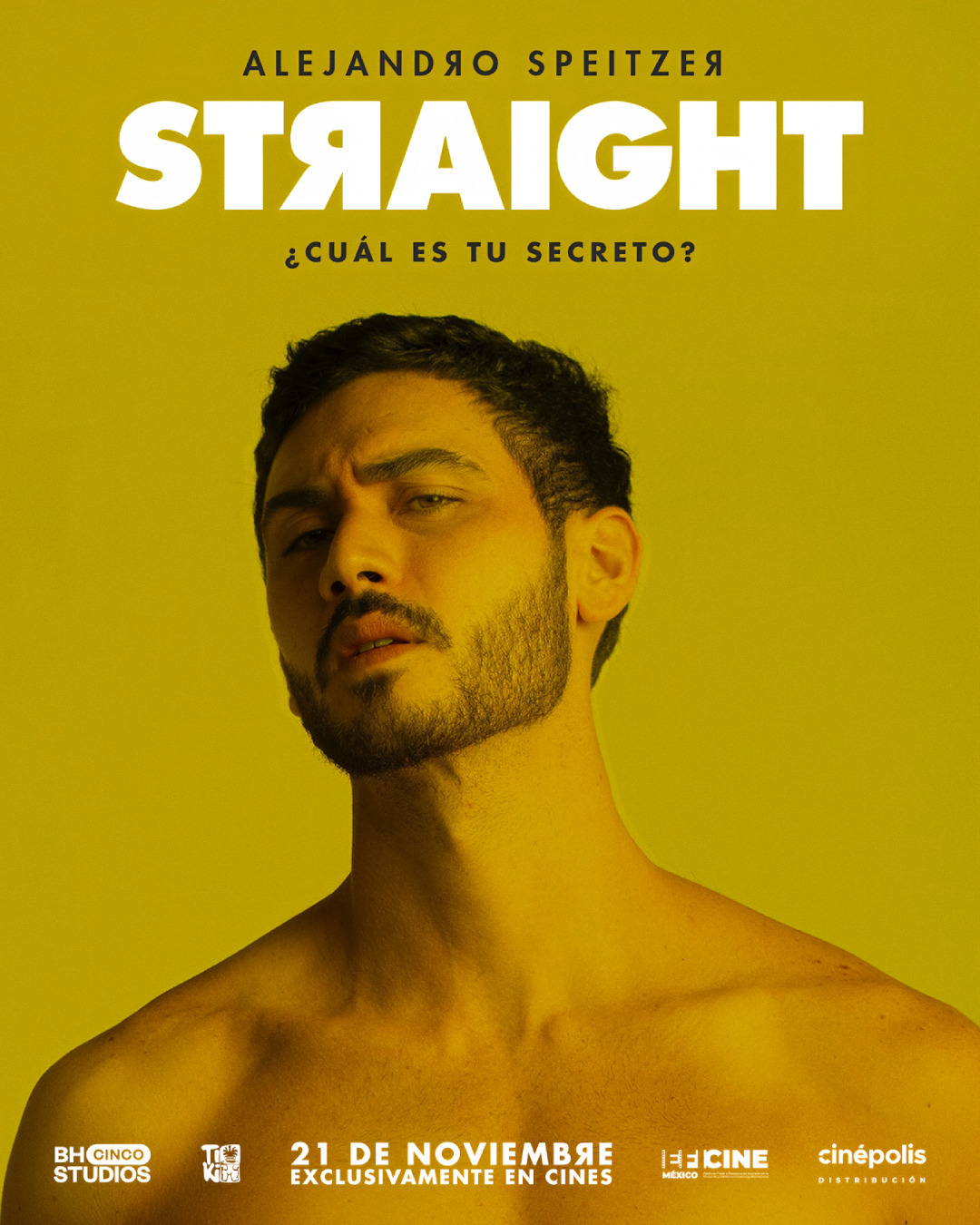 Extra Large Movie Poster Image for Straight (#4 of 5)