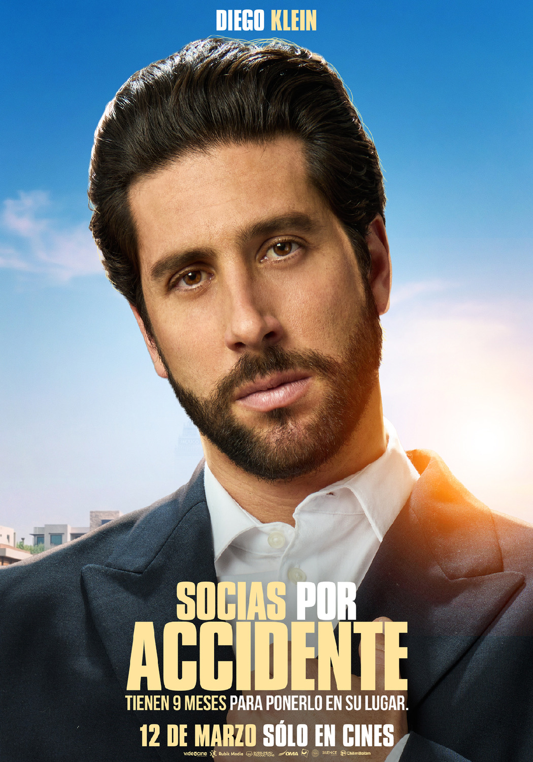 Extra Large Movie Poster Image for Socias por Accidente (#7 of 7)