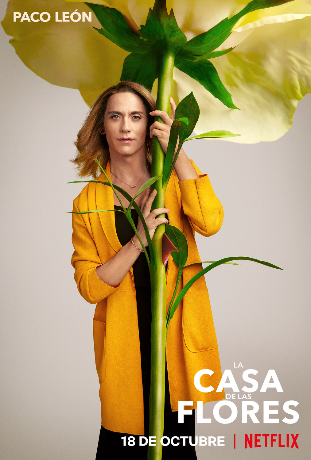 Extra Large TV Poster Image for La casa de las flores (#12 of 19)