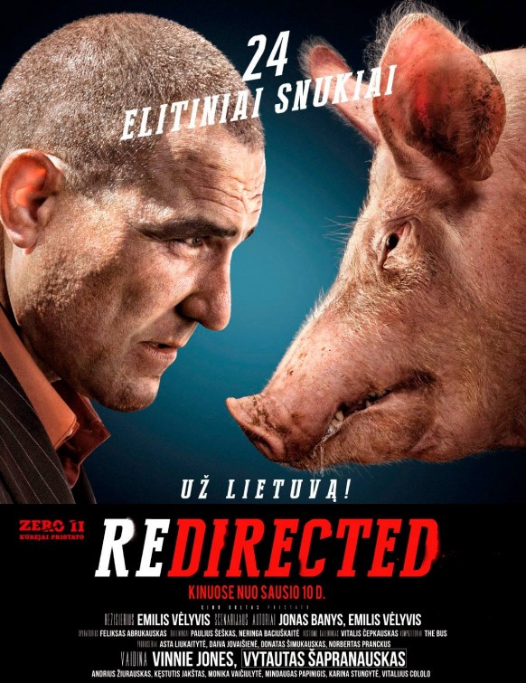 Redirected Movie Poster