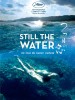 Still the Water (2014) Thumbnail