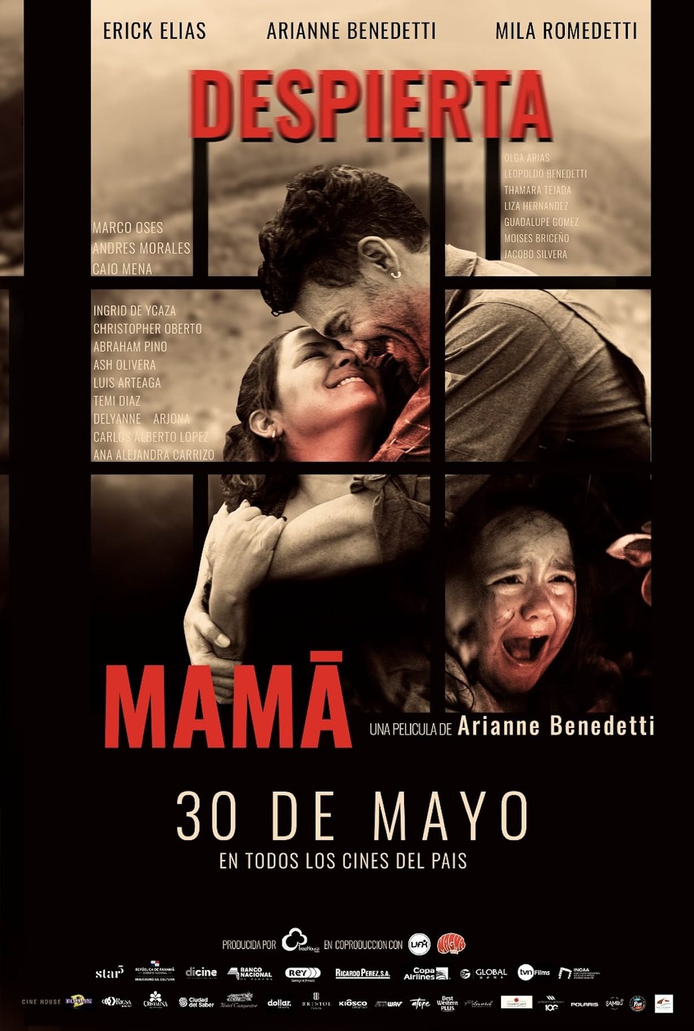 Extra Large Movie Poster Image for Despierta Mamá 