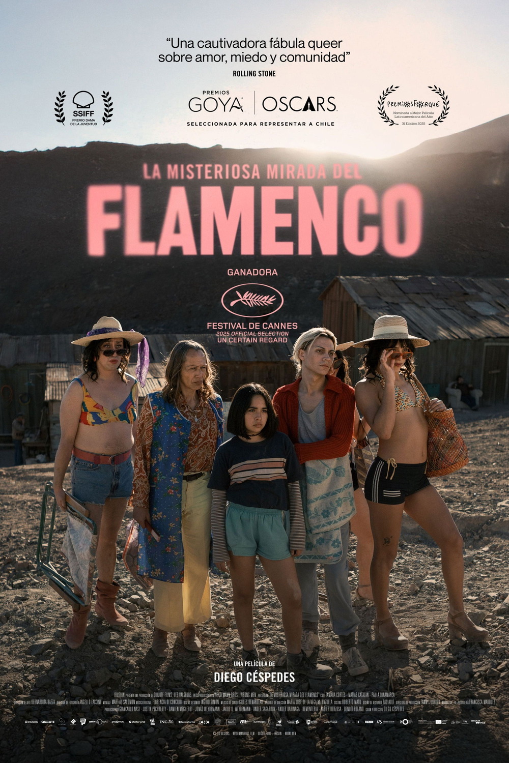 Extra Large Movie Poster Image for La misteriosa mirada del flamenco 