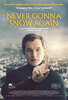 Never Gonna Snow Again (2020) Thumbnail