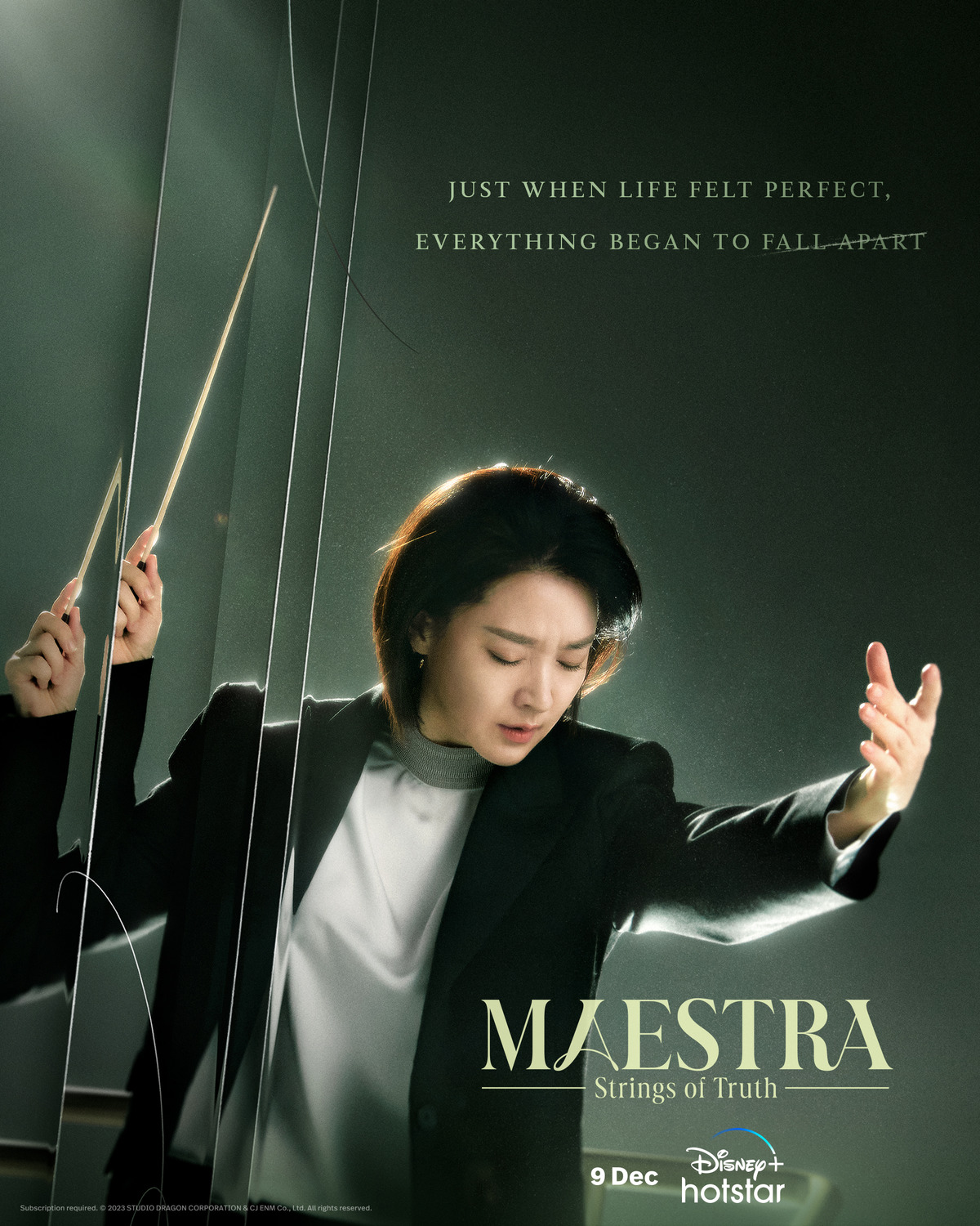 Extra Large TV Poster Image for Maestra 