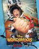 The Wonderfools  Thumbnail