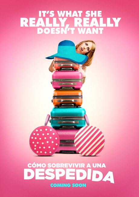 Cómo sobrevivir a una despedida Movie Poster