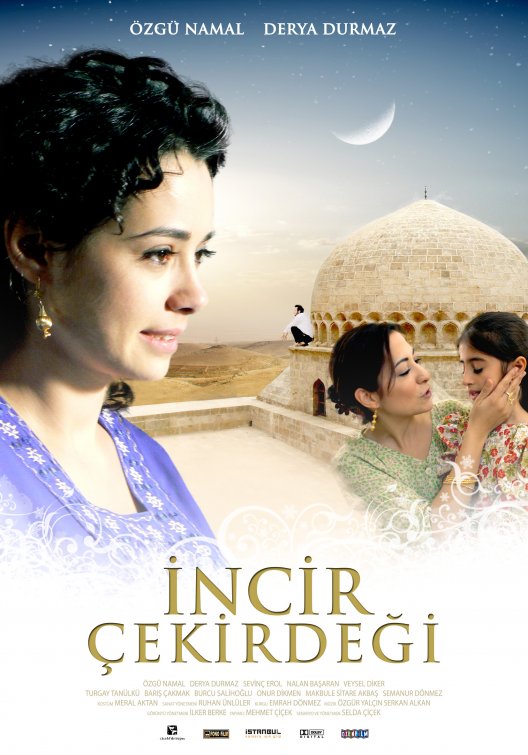 Incir çekirdegi Movie Poster