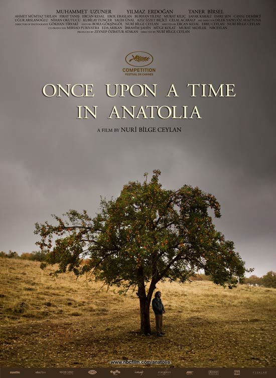 Bir zamanlar Anadolu'da Movie Poster