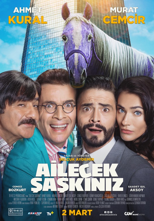 Ailecek Şaşkınız Movie Poster