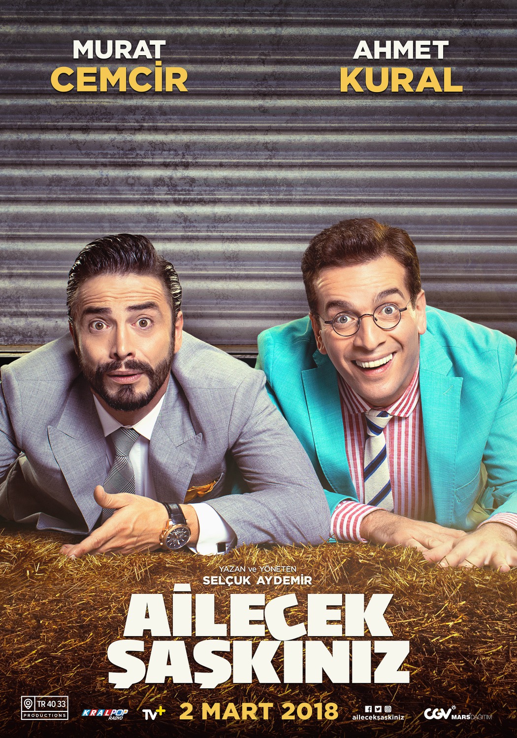 Extra Large Movie Poster Image for Ailecek Şaşkınız (#1 of 9)