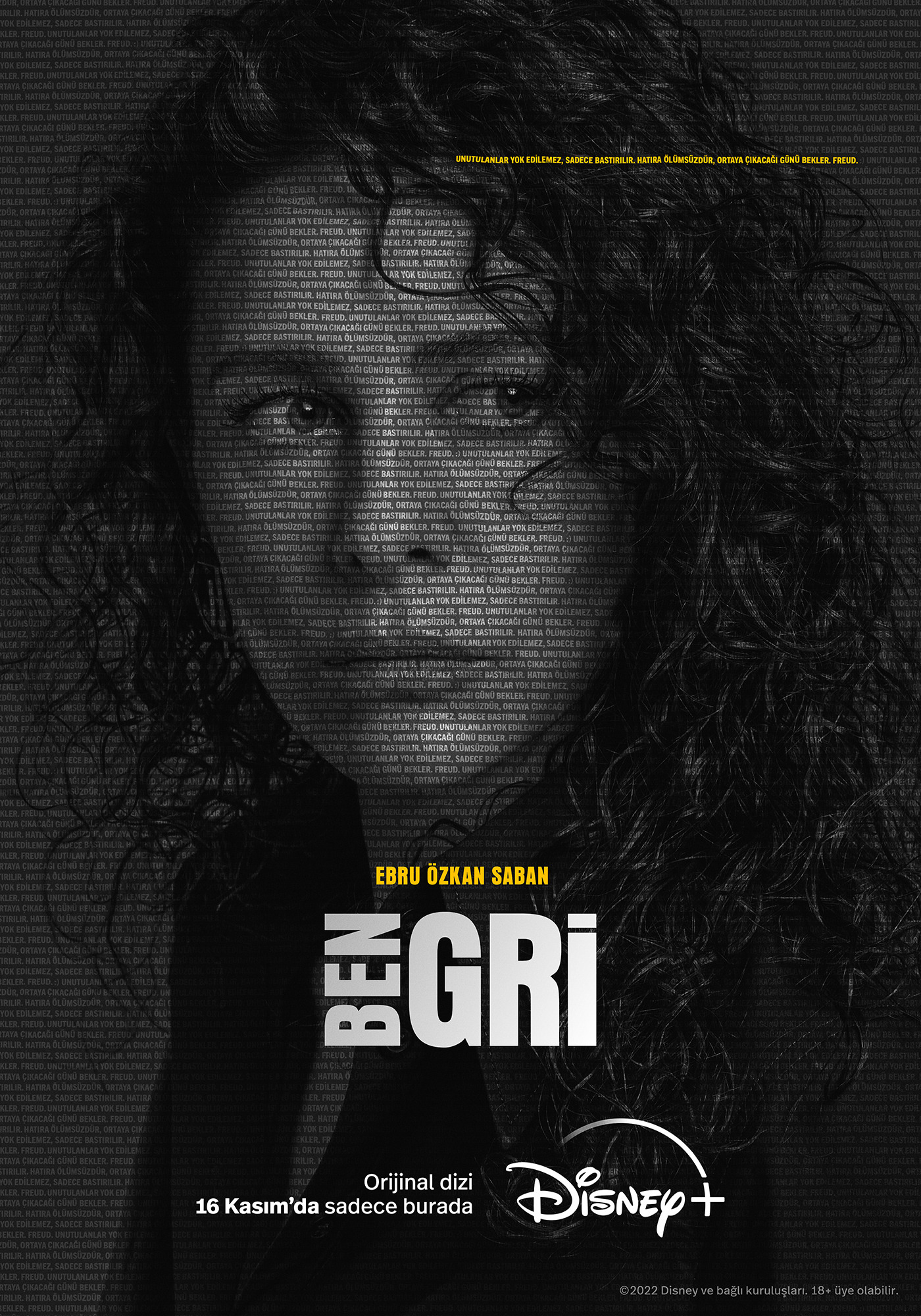 Mega Sized TV Poster Image for Ben Gri (#6 of 11)