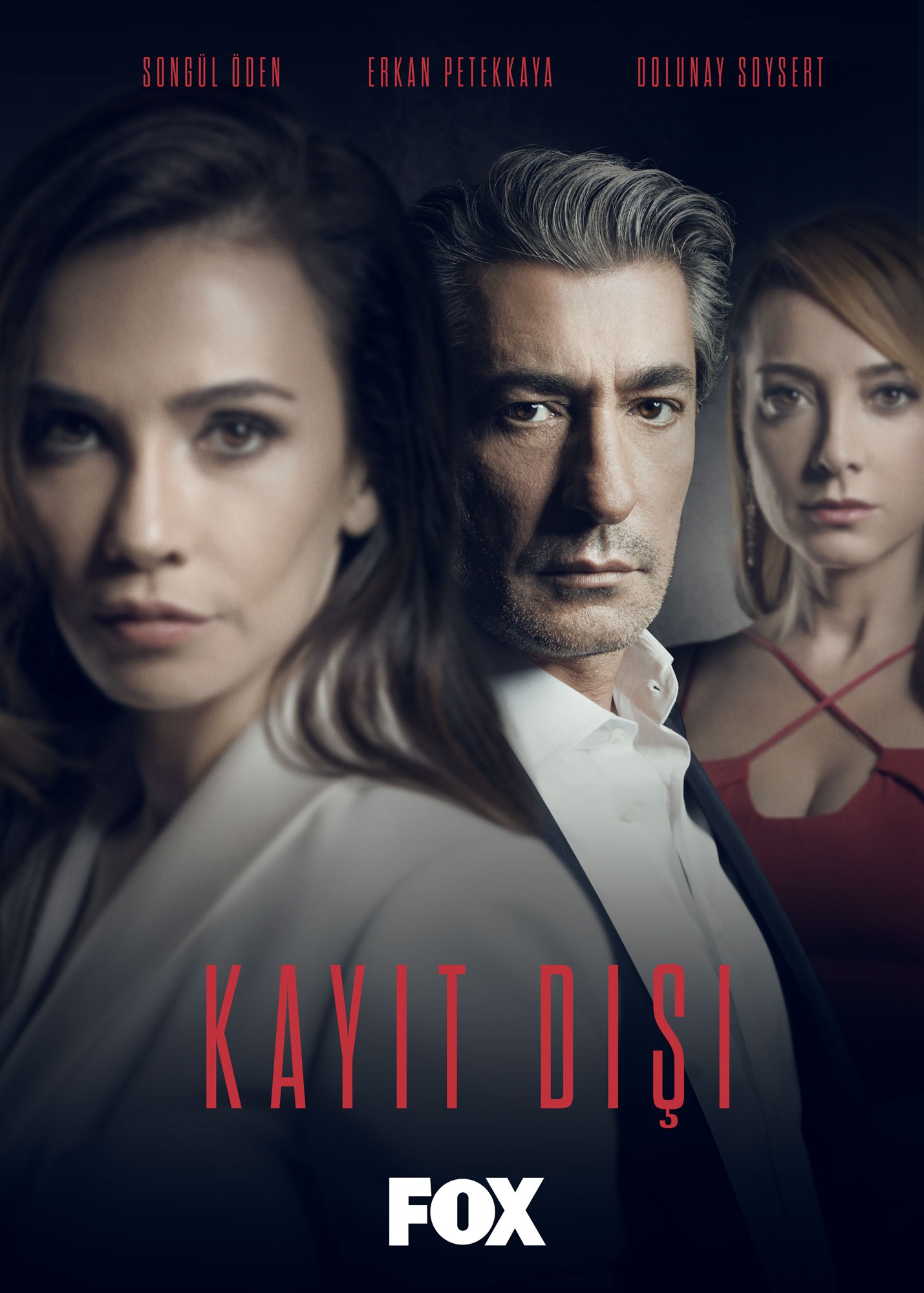 Mega Sized TV Poster Image for Kayitdisi (#1 of 2)