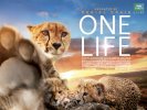 One Life (2011) Thumbnail