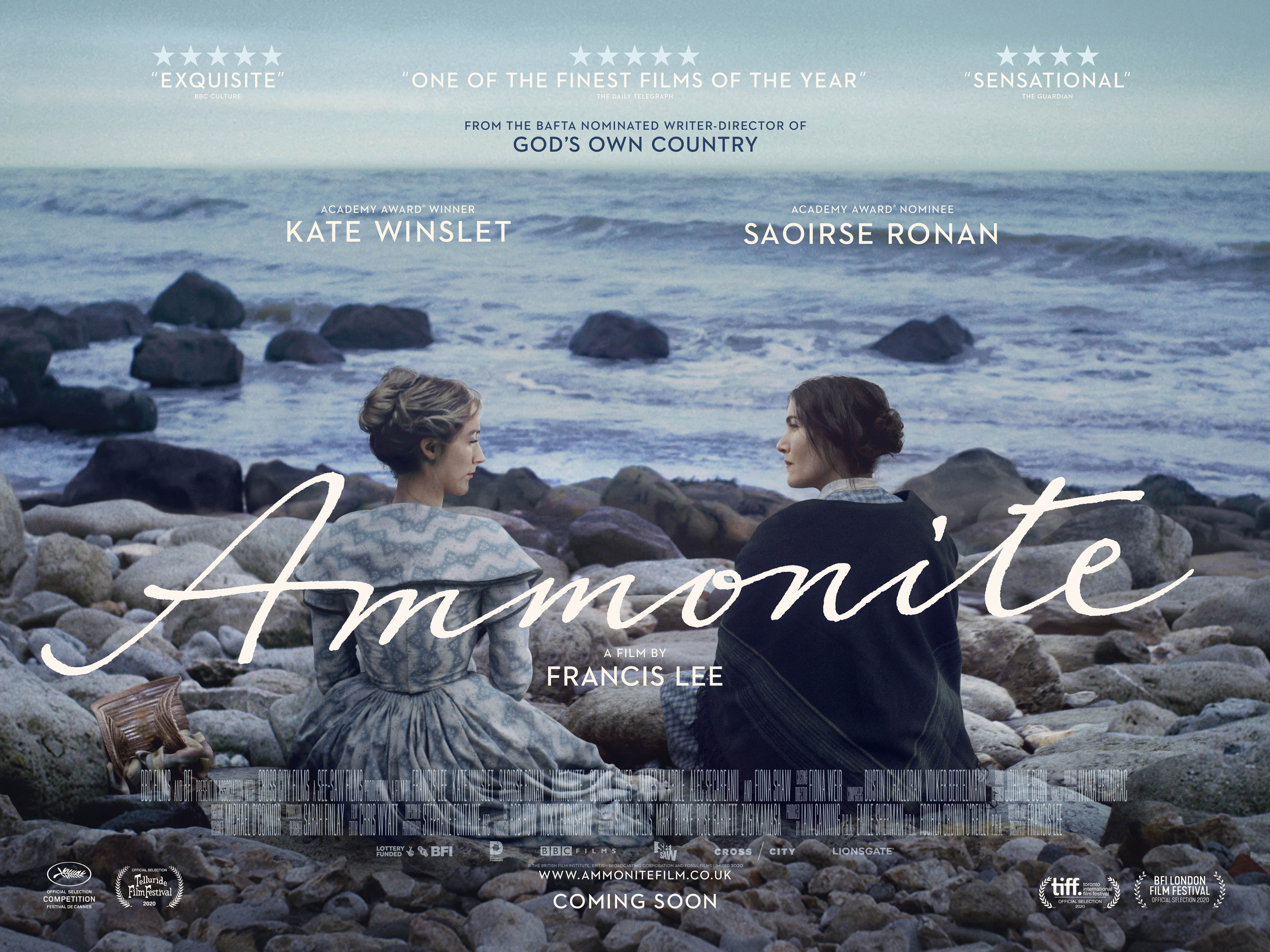 Mega Sized Movie Poster Image for Ammonite (#2 of 2)