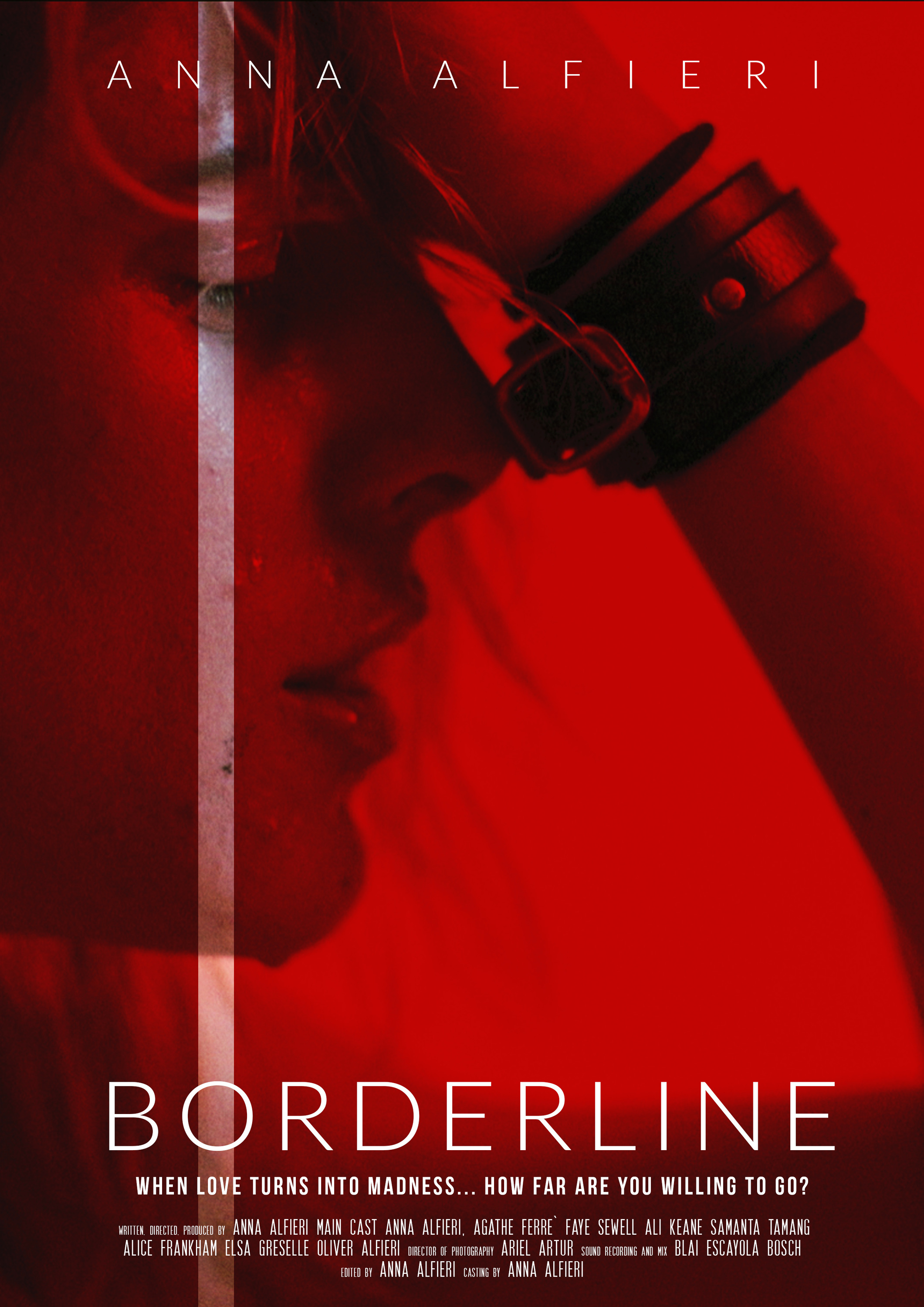 Mega Sized Movie Poster Image for Borderline 