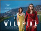 Wildfire (2021) Thumbnail