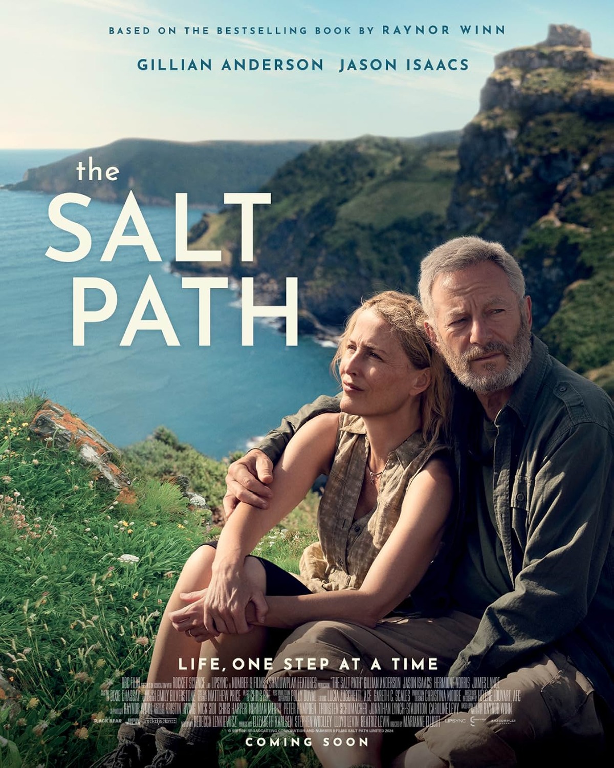 Extra Large Movie Poster Image for The Salt Path 