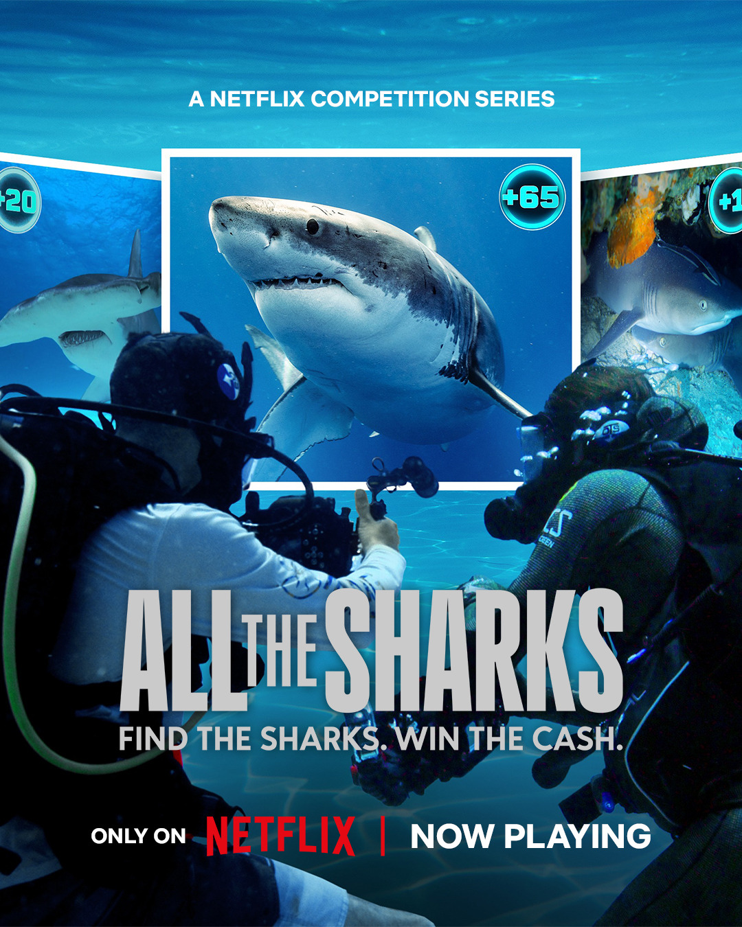 Extra Large TV Poster Image for All the Sharks 