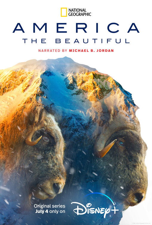 America the Beautiful Movie Poster