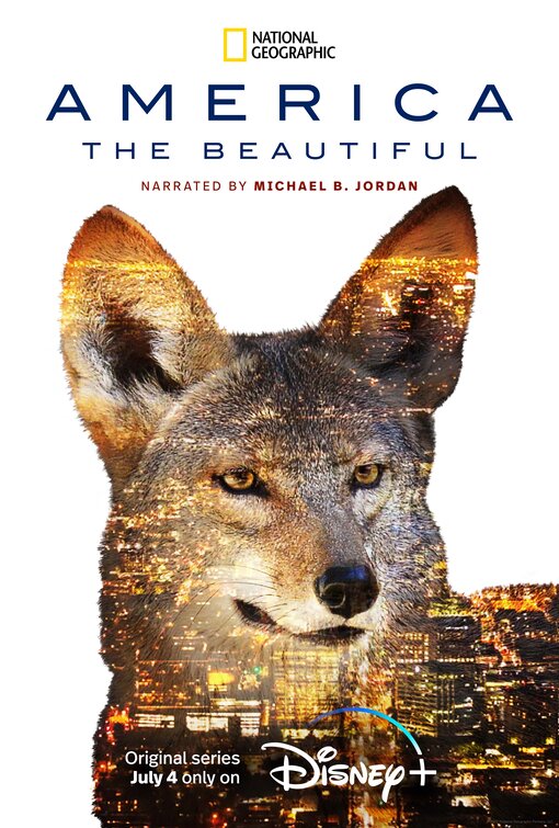 America the Beautiful Movie Poster